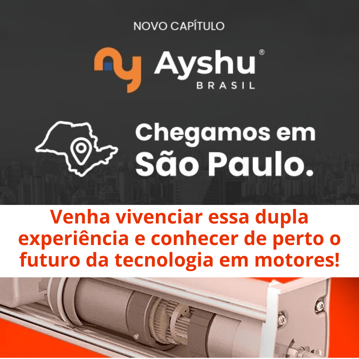 ayshu 